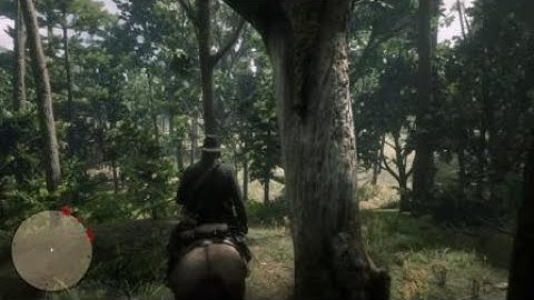 Dead Redemption 2 - Poor Joe - The King Of The Forest