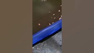 Video thực tế sản phẩm cửa chống ngập Minh Dũng