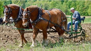 Farmer Bob visits Rohrer Plow Day.