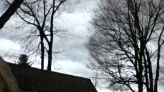 Jumping 5Ft Wit A Eastern Cobra