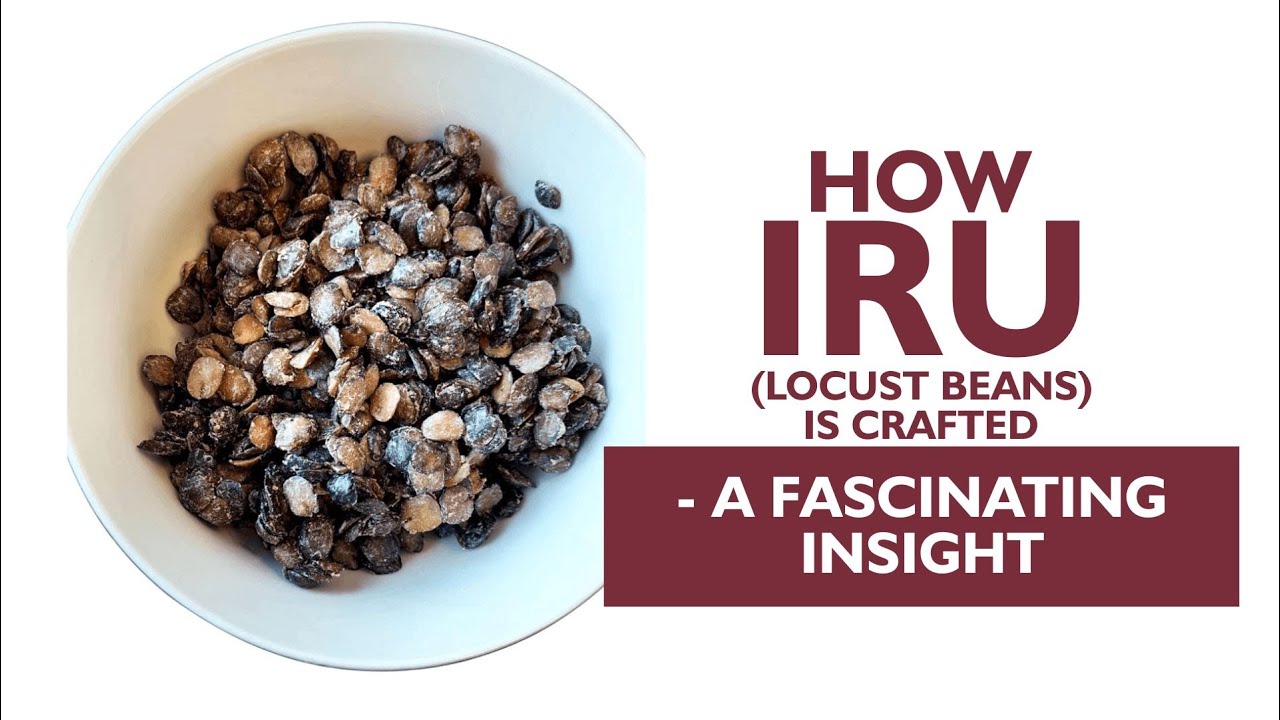 How iru (locust beans) is made