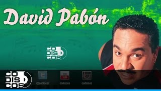 Video thumbnail of "Como Lo Haces Conmigo, David Pabón - Audio"