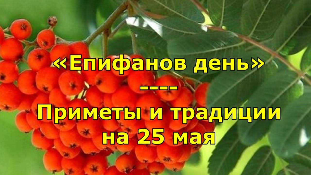 25 мая какой день в году