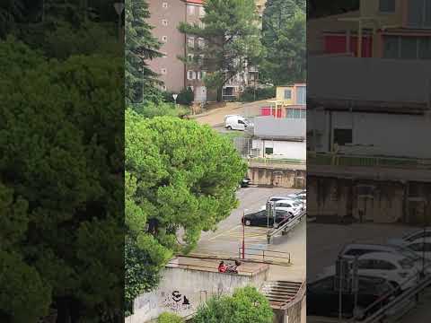 Naliv, Koper, Markovec,