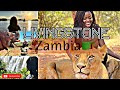 VLOG: WHAT I DID ON MY TRIP TO  LIVINGSTONE || LION WALK || VIC FALLS AND MORE!!