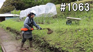 もう畑の周りが草ボーボー…ハスクバーナでパワフルに全部刈るっきゃないかぁ