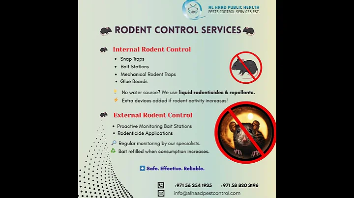Best Rodent Control in Dubai | Al Haad Pest Control Services