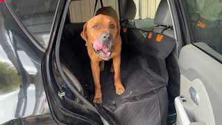 Lamicall Dog Car Seat Cover Review! Protect Your Car and Keep Your Dog Comfy!