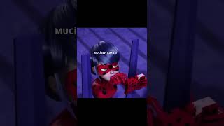 The Black Cat Sacrifices Itself.