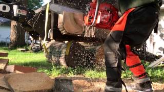 Ported p61 and Ported Husqvarna 394XP 2 operators in cant