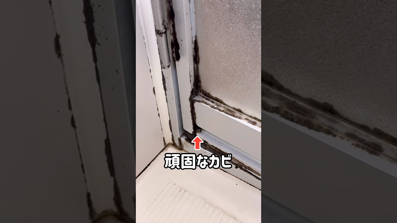風呂ドアについた頑固なカビを短時間で落とす方法