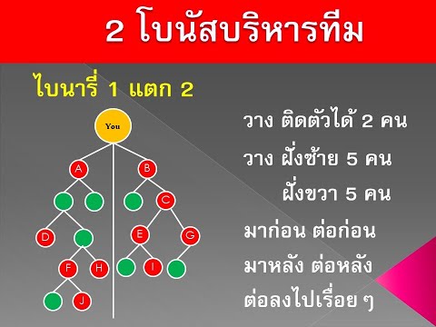 ความหมายของผังแบบไบนารี 1แตก 2