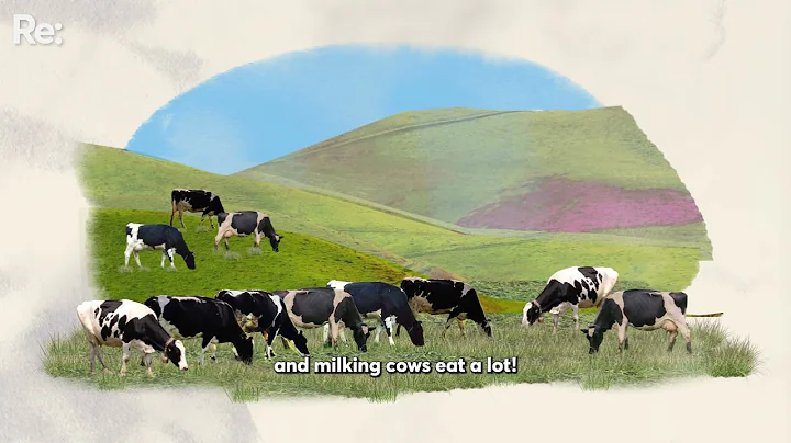 You’ve heard our dairy industry is ‘intensive’. What does that mean?