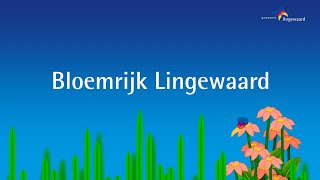 Lingewaard Bloemrijke Graslanden