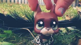 LPS:Moondust- music video