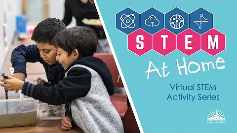 Ready 2 Read STEM: The Five Senses