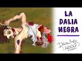 LA DALIA NEGRA, UN CRIMEN SIN RESOLVER | Draw My Life