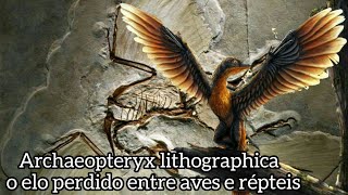 Archaeopteryx  lithographica o elo perdido entre aves e répteis