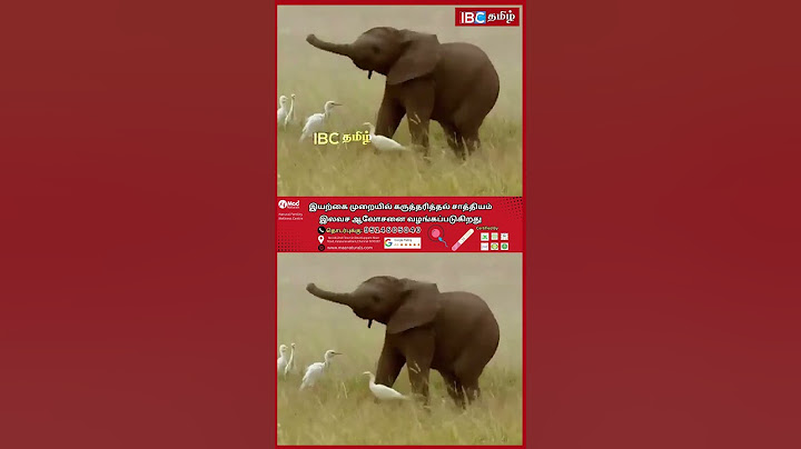 தும்பிக்கையை சுழட்டி சுழட்டி அடிச்சாலும், வச்ச குறி தப்புதே! வைரல் வீடியோ