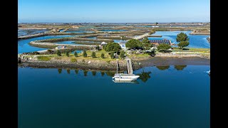 Ilha Turística privada com barcos-casa e ninho de sal, na Ria de Aveiro, Aveiro