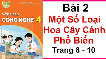 Vở Bài Tập Công Nghệ Lớp 4 Bài 2 | Một Số Loại Hoa Cây Cảnh Phổ Biến | Trang 8 | Kết Nối Tri Thức