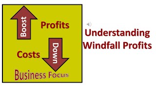 Understanding Windfall Profits