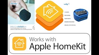 Homekit Apple su Shelly 2 per Gestione Tapparelle e Garage Firmware senza  bridge. - YouTube