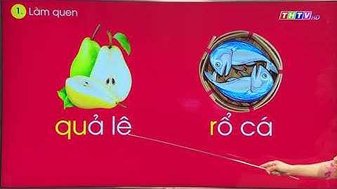 Bài 24: qu r|Tiếng Việt lớp 1|Cánh diều|Truyền hình Trà Vinh|