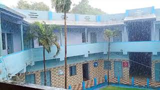 Panchakot Mahavidyalaya College || Rain Status Video || PKMV - 2021