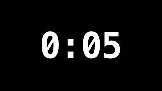 5 Second Timer