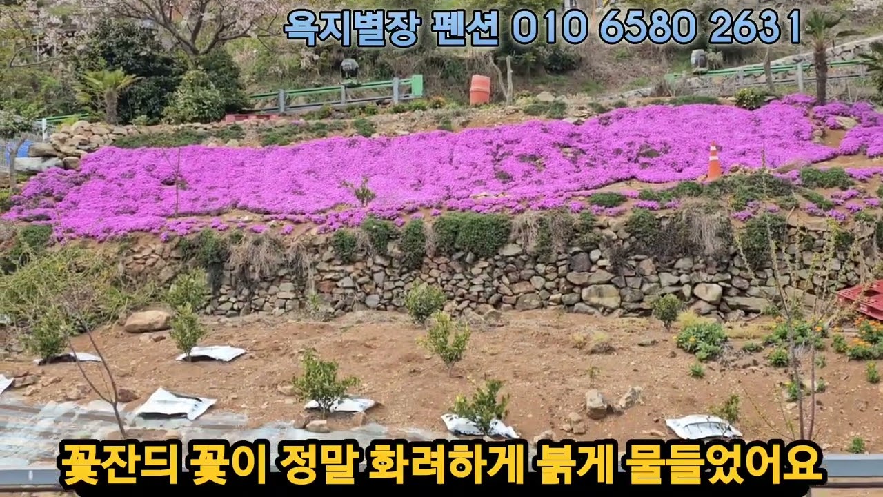 욕지별장 펜션 정원 꽃구경