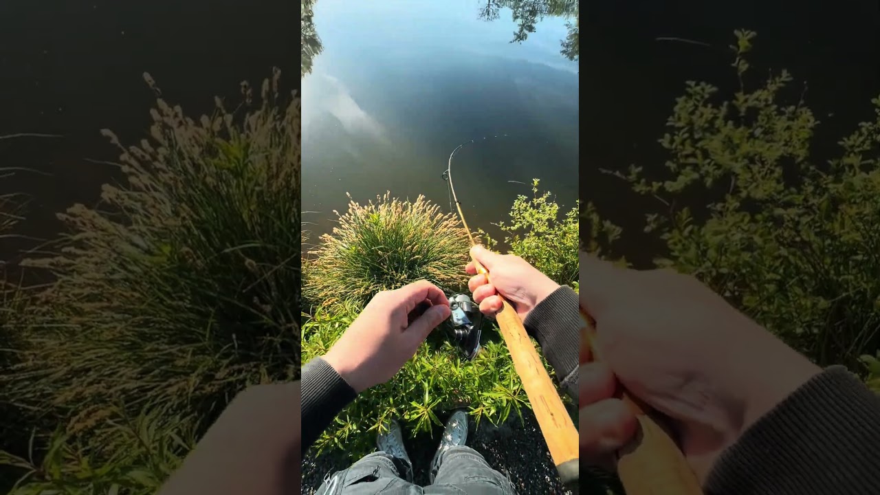 Troutarea fishing Germany: Wenn der Lachs reinknallt 