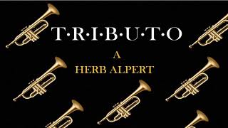 Trompeta  Tributo a Herb Alpert