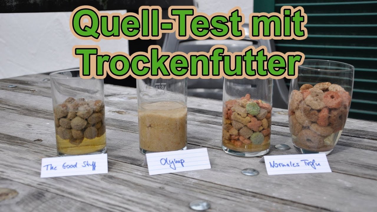 Wie stark quillt Hundefutter auf ? / Hundefutter Quelltest / Hundeernhrung  / Nature Trails