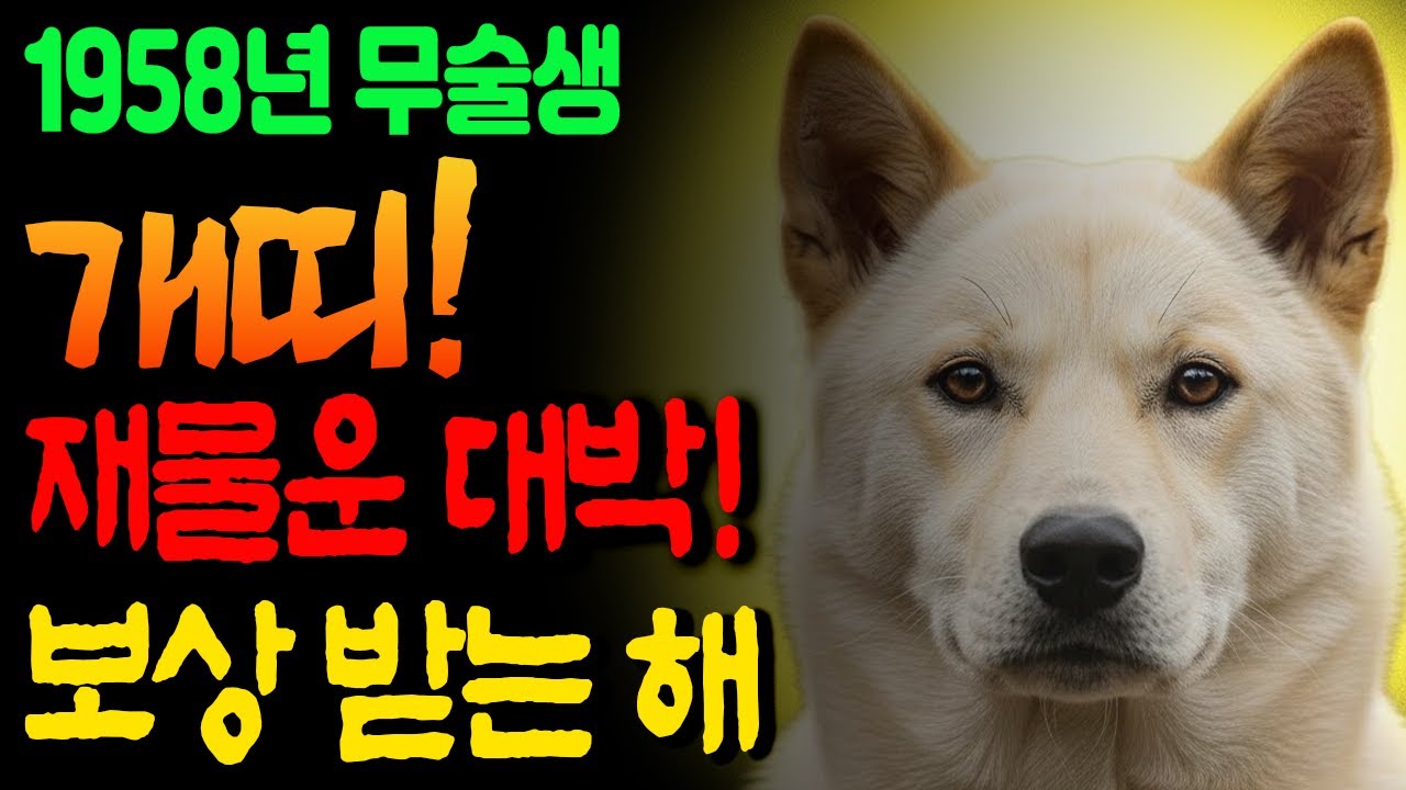 [1958년 개띠] 🐶무술생, 메마른 땅에 단비가 내립니다.🌧️돈도 사람도 이제야 풀립니다!💰개띠에게 시작되는 흐름의 전환점🌈 