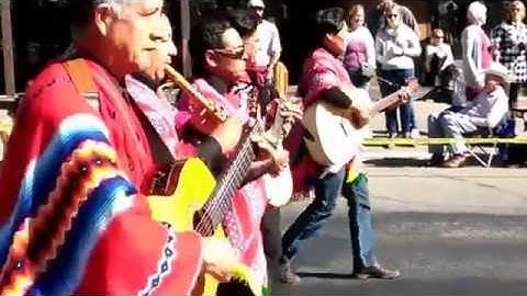 Trailing of the Sheep Festival Parade!
