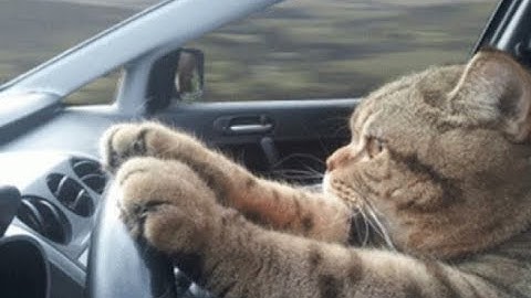 It always seems Impossible UNTIL IT IS DONE.