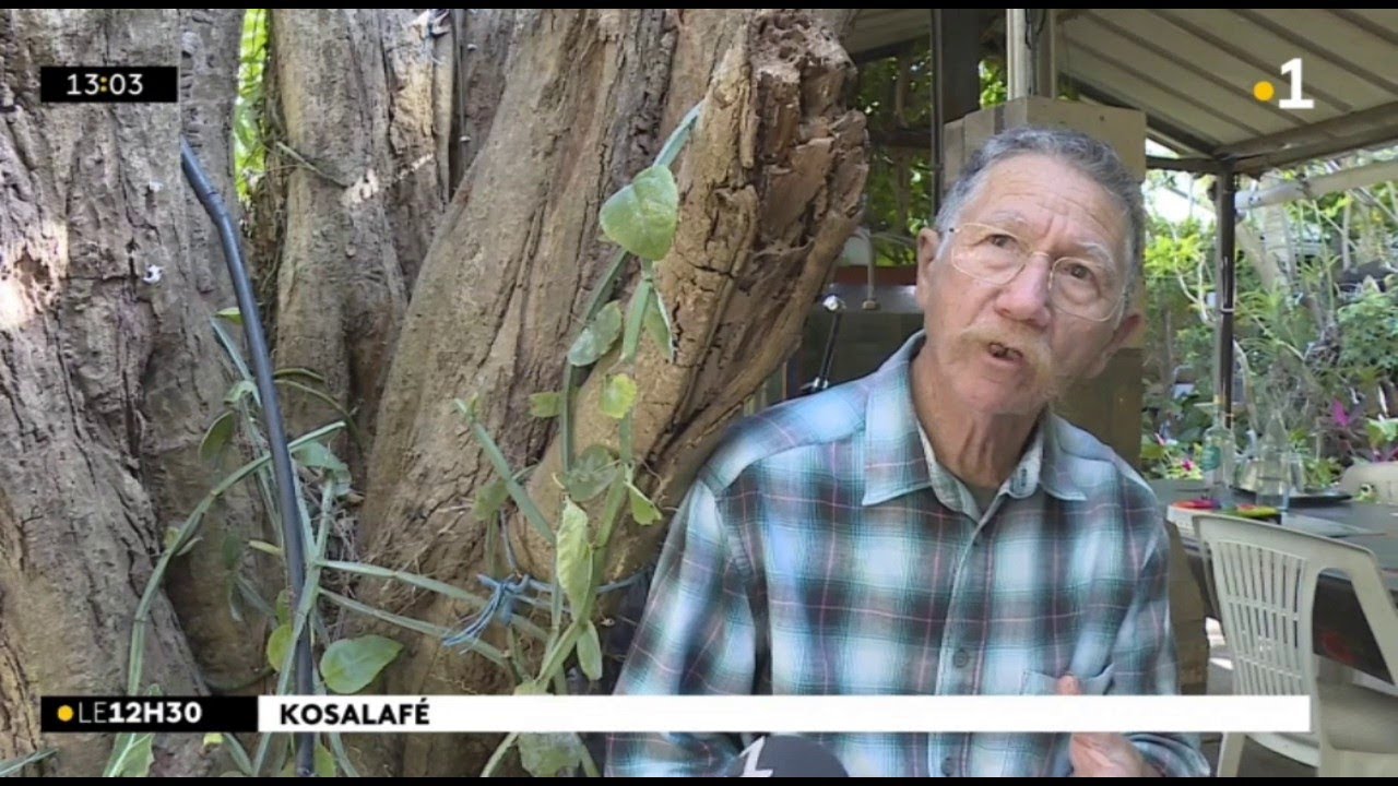 Kosalafé ! Tisane Liane karé I soiny kwé ? Domann anou Hermina Lasson va doman Raymond Lucas !