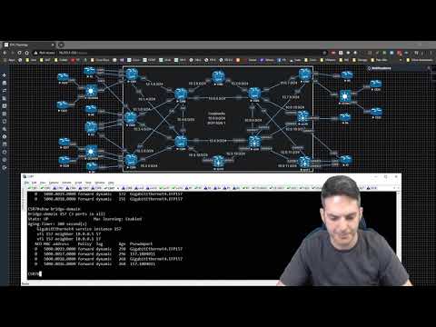 Service Provider - Intra AS L2VPN 010 - VPLS With switches as the CE Device