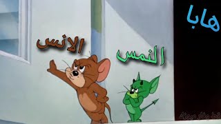 مهرجان هابا من فيلم الانس والنمس على قط وفار