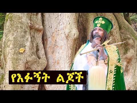 ቪዲዮ: የእፉኝት ንክሻ ገዳይ ነው?