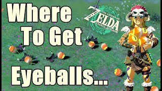Where to get Eyeballs Zelda Tears of The kingdom screenshot 3