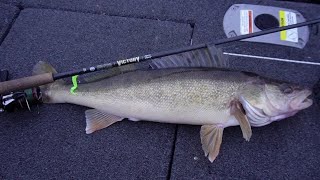 The Best Walleye Rod (St. Croix Victory - Crosshair)