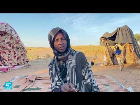 النزوح والمعاناة في الفاشر وطويلة: أزمة إنسانية متفاقمة