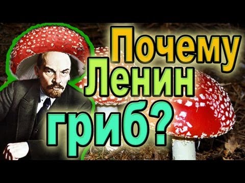 Почему Ленин - гриб?