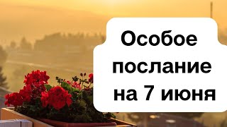 Важное послание на 7 июня. Здоровье.