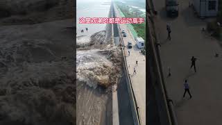 The People Who Watch The Qiantang River Tide Here Are All Experts, Even The Puppies.