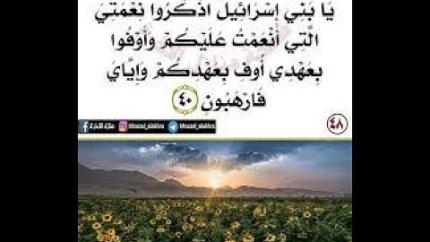 سورة البقره يَا بَنِي إِسْرَائِيلَ اذْكُرُوا نِعْمَتِيَ الَّتِي أَنْعَمْتُ عَلَيْكُمْ  من40 إلى 46