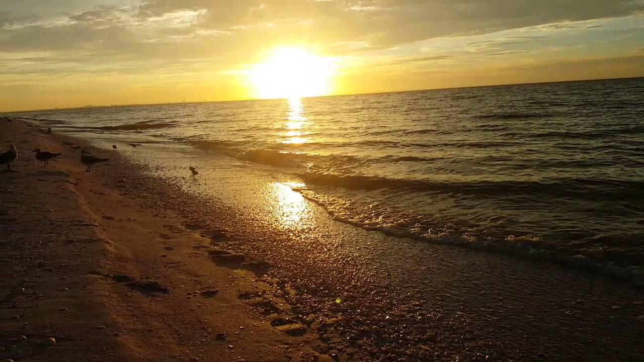 REVIEWS937 Sundial Beach Resort & Spa(2) YouTube