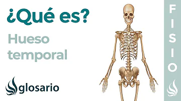 ¿Cuáles son las tres porciones del hueso temporal?